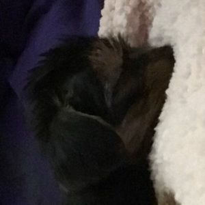 Meet your Posher, Kari